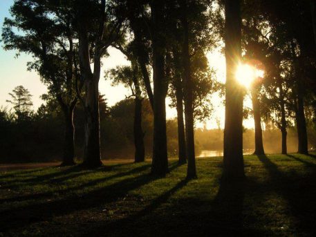 Parque_guernica_mercedes