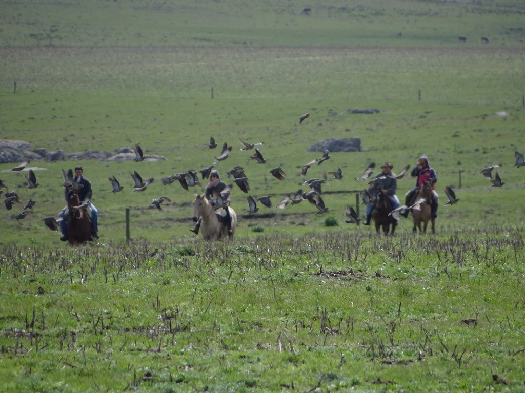 la-estiria-cabalgata