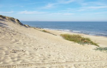 dunas-cuchilla-alta-rocha