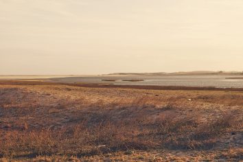 laguna-de-rocha-1